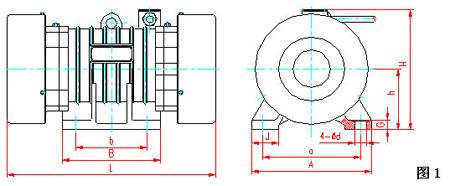 ZDS振動電機(jī)安裝原理圖